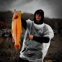 O.T Bassin