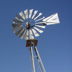 leather craft WHOLフール チャンネル