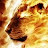 @michaeltihon3485's avatar