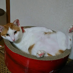 トムサ