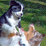 Channel Image