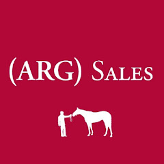 Логотип каналу Arg Sales