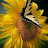 @LisaS-4547