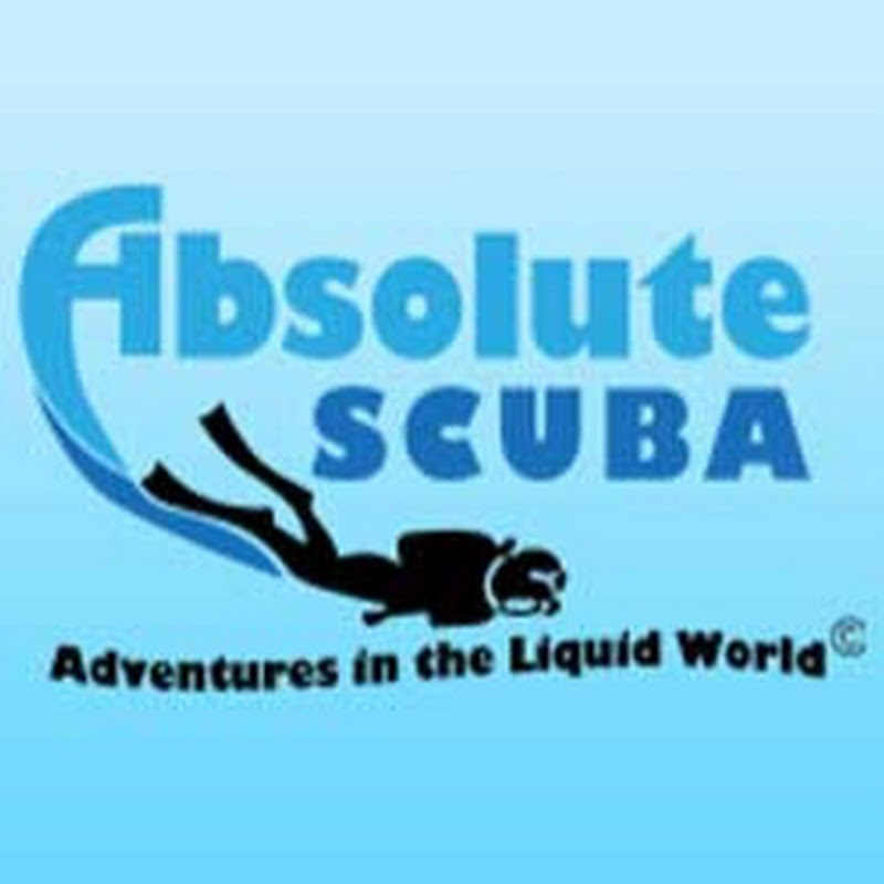 absolutescubaindia