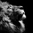 @Munyabrwn Avatar
