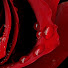 1WEg4j5Bp7k-channel-avatar-Odziņa Oga