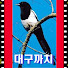 vBGC-2hBcVA-channel-avatar-대구까치