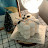 @user-is4mt7tw1u