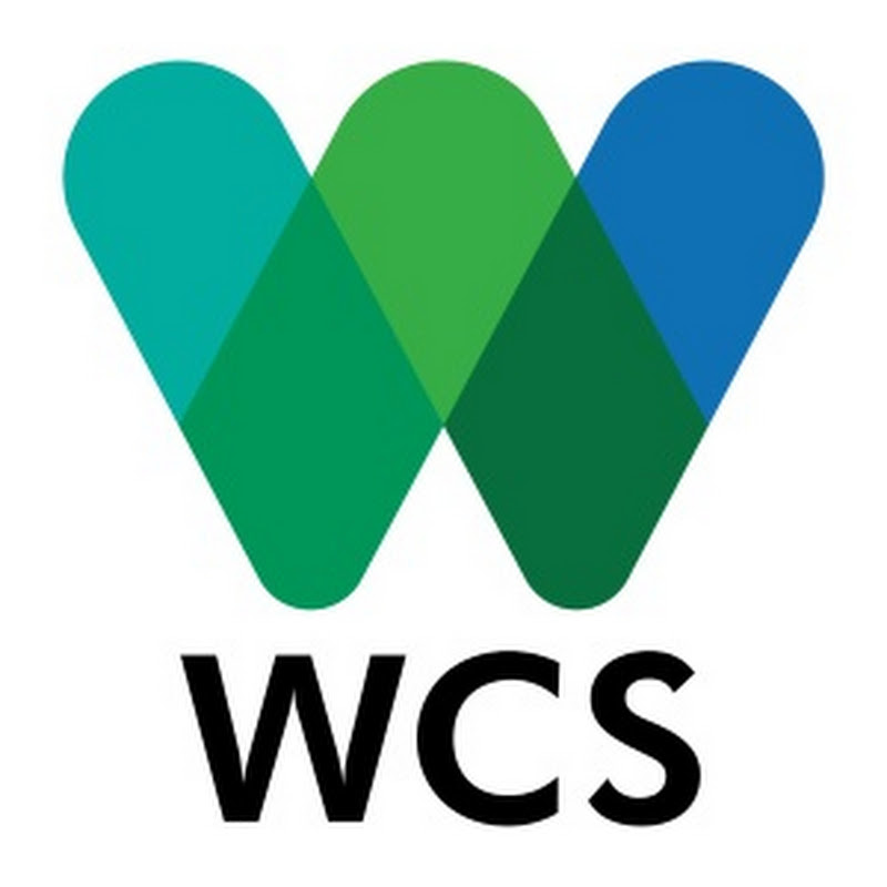 WCS Colombia - Visual
