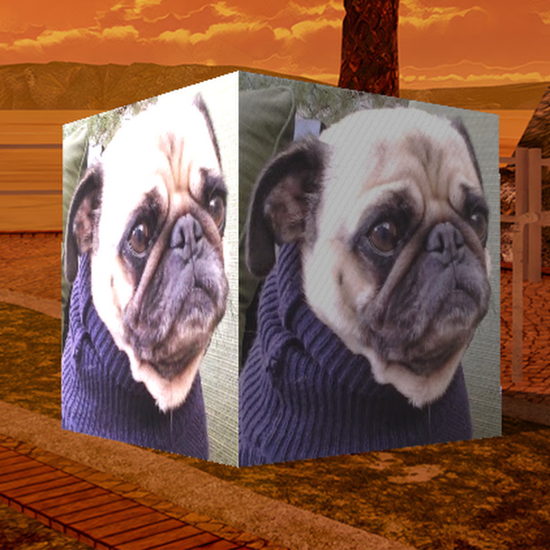 Pug O.