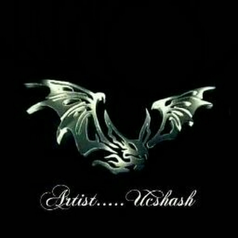 Artist Ucshash