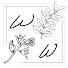 lI3hDGovk6s-channel-avatar-Walnuts and Wineberries