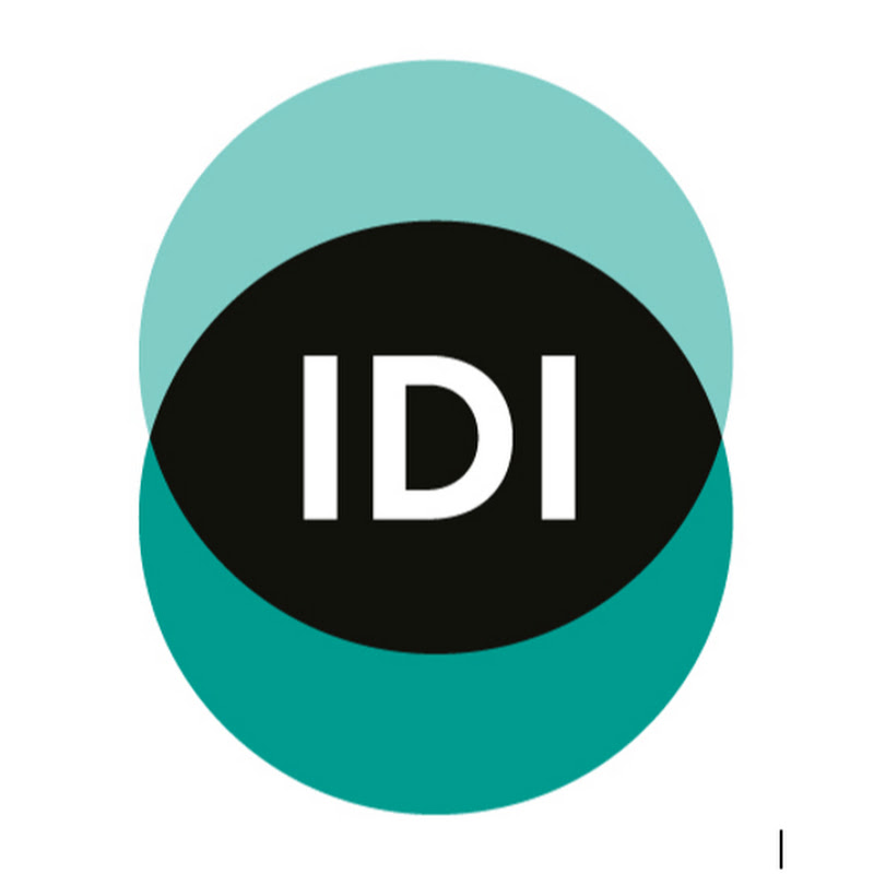 Inclusive Development International