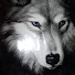 Eh_GL725TS4-channel-avatar-LOBO SOLITARIO