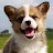 @jaegermah's avatar