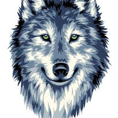 Wolves Yt channel logo