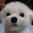 _6VGwL85mY4-channel-avatar-panap_hanaはな