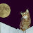 @pinchebug9016's avatar