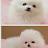 @미향백