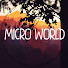 MicroWorld