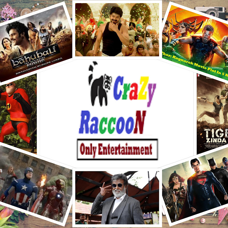 CraZy RaccooN