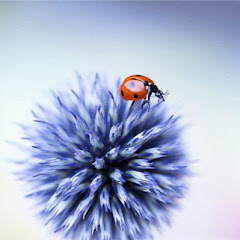 百态人生アイコン画像