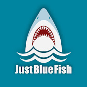 JustBlueFish Watch Reviews