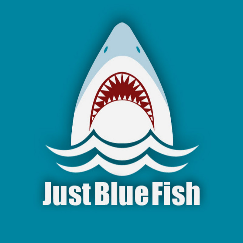 JustBlueFish Watch Reviews