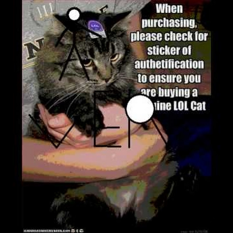 GRAYPAW99