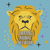 AMAZING ANIMAL NETWORK
