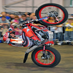 Colleystunts