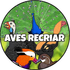 Aves Recriar avatar