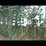 obAhTBOTMoo-channel-avatar-guhjon