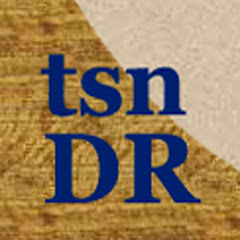 tsnDR