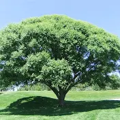 HirokunTV