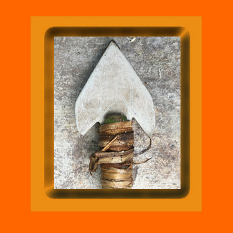 Primitive Technology Tools