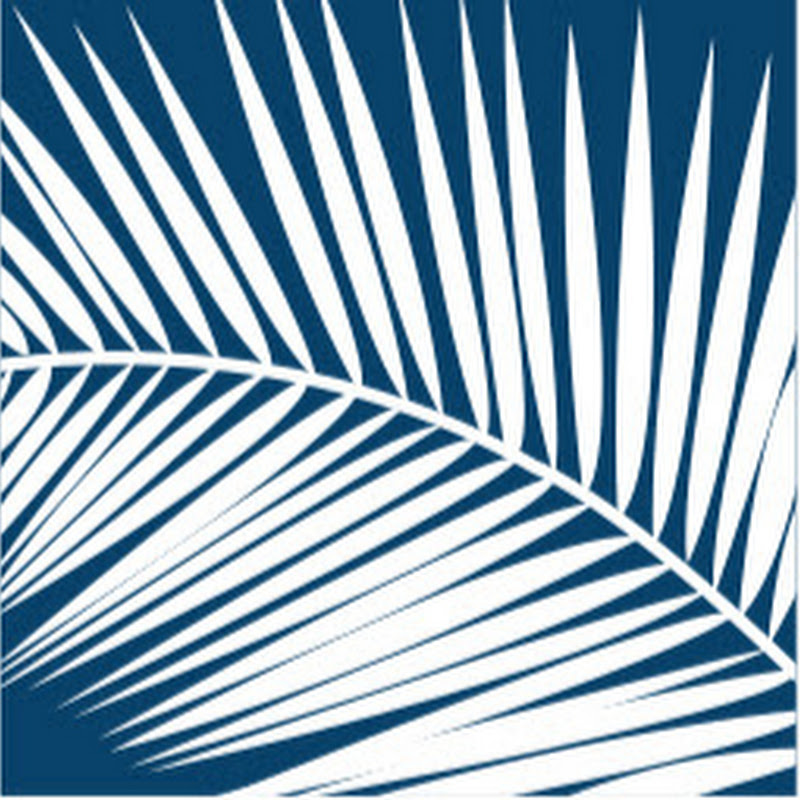 SC SBDC