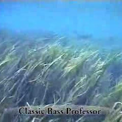 ESPNsBassProfessor