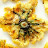 @fried_dandelion