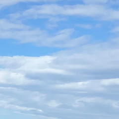 SESESEIJIJIJI