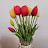 @장주은-u7r
