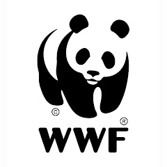 WWF International Avatar