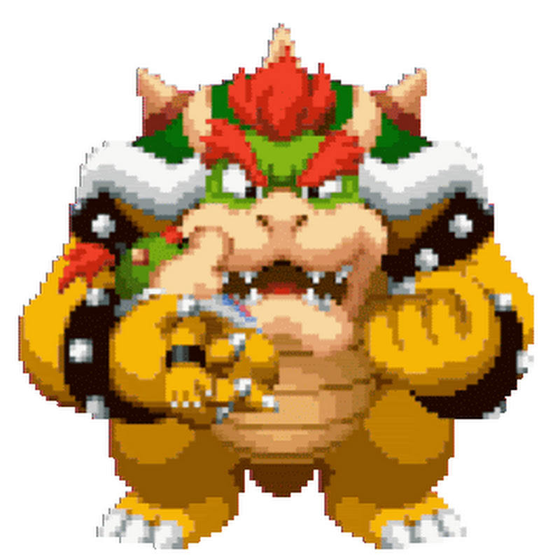 Bowserking 2441