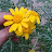 @asmailaghel3992