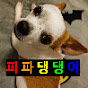 피파댕댕이 썸네일