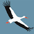 White Stork Project