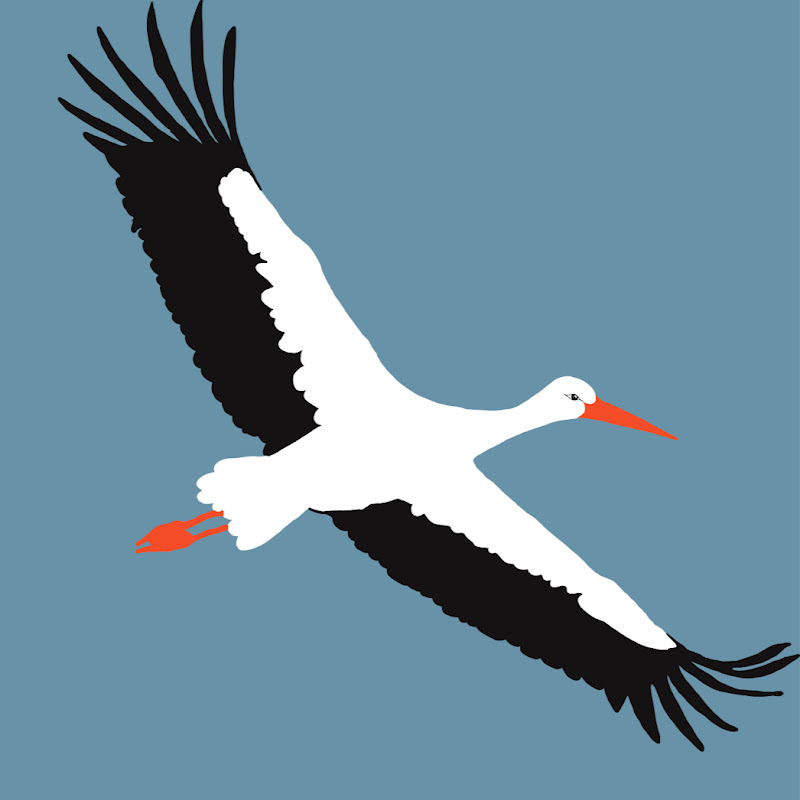 White Stork Project thumbnail