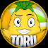 Hr87sryfFWc-channel-avatar-Torii Dwa