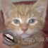 Channel Image