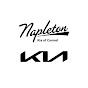 Napleton Kia of Carmel logo